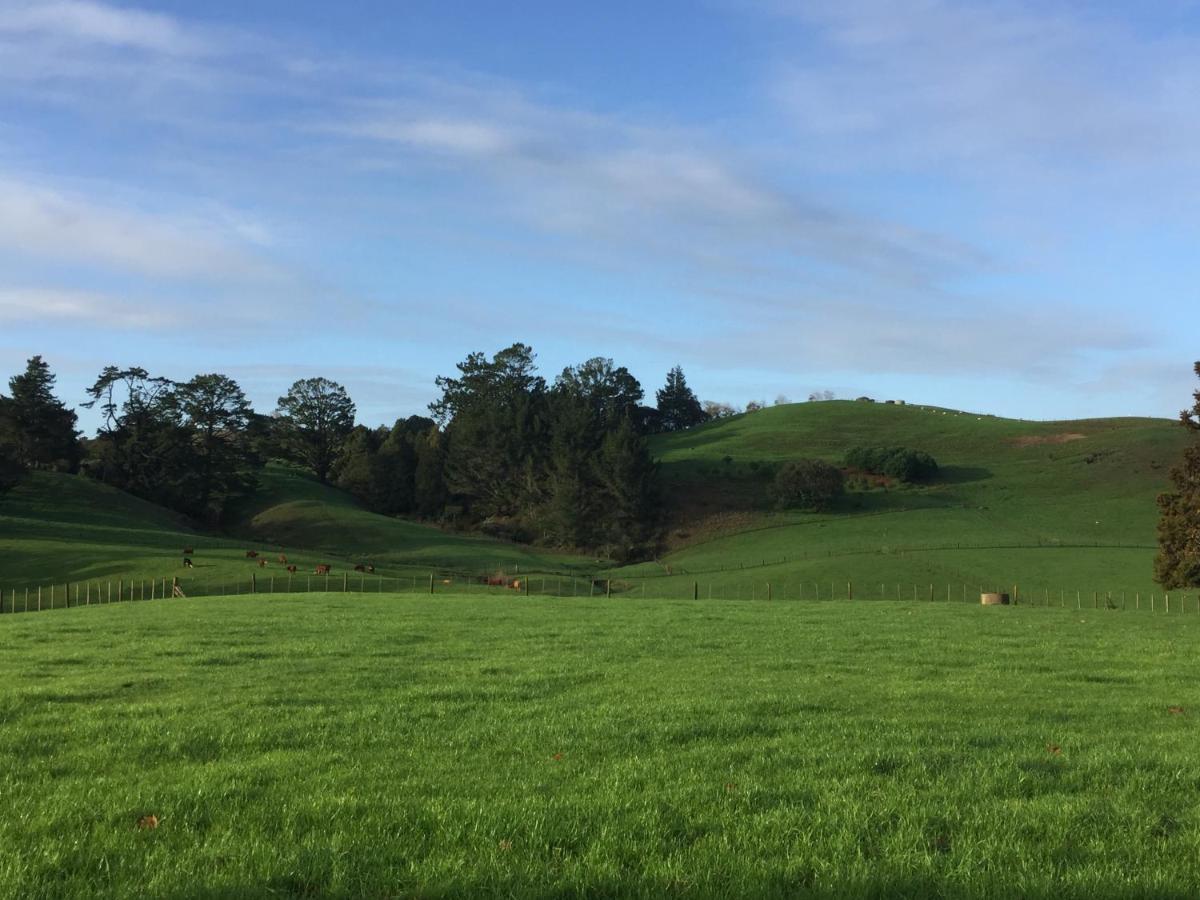 Veld View Bed And Breakfast Tuakau Exterior foto